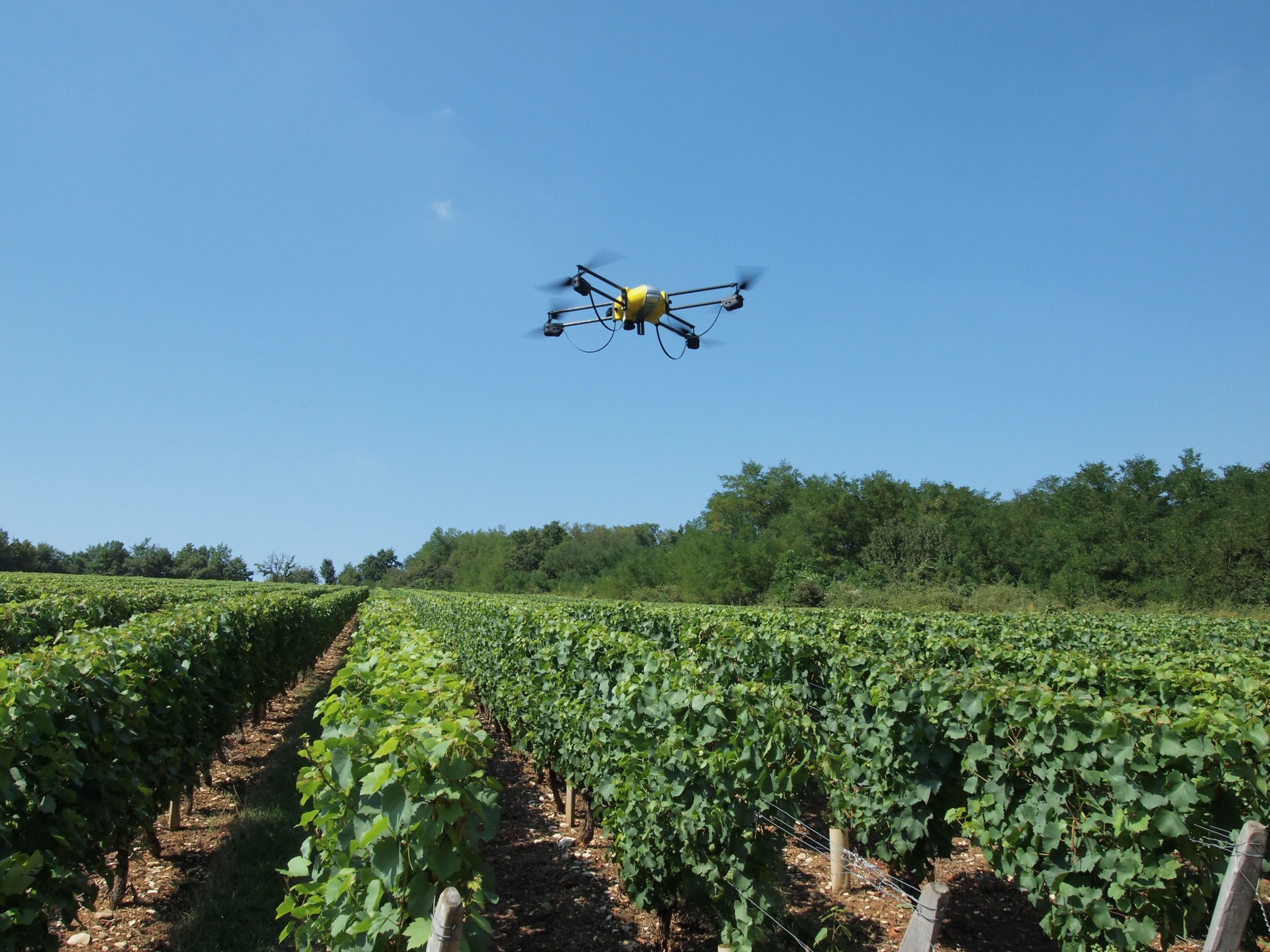 Drone voando sobre plantação - Drones na viticultura