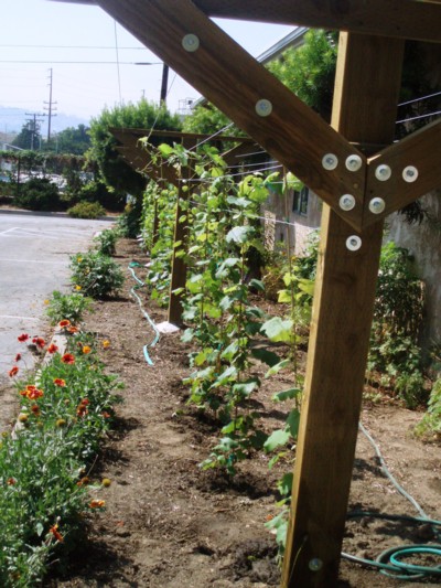Sistema de Y utilizado em jardins ou quintais em áreas urbanas ou rurais.